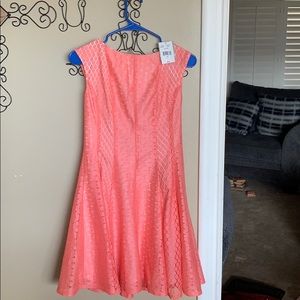Woman’s dress, size 6petite